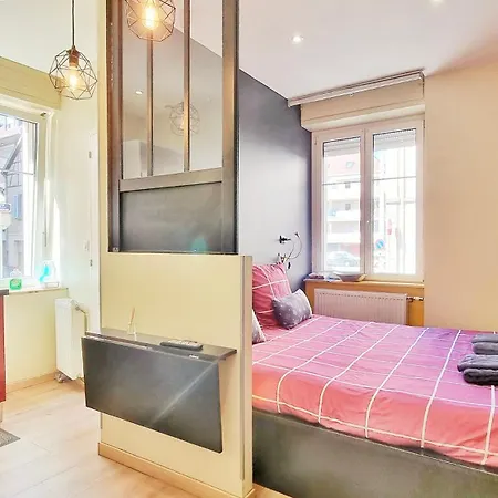 Splendide Centre Apartman Colmar