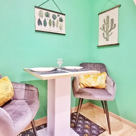 Appartement Splendide Centre Colmar