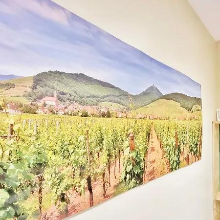 Apartman Splendide Centre *