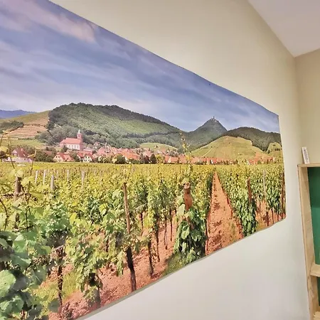 Appartement Splendide Centre