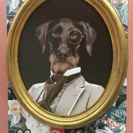 Appartement Splendide Centre Colmar