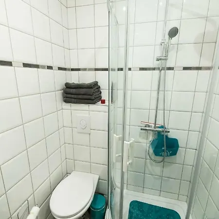Apartment Splendide Centre Colmar