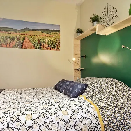 Apartment Splendide Centre Colmar