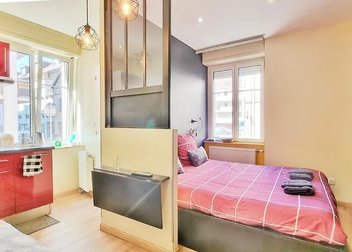 Splendide Centre Appartamento Colmar