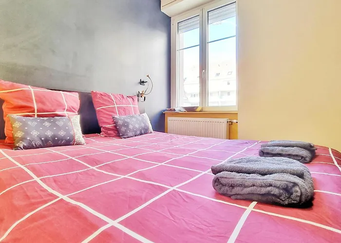 Apartment Splendide Centre Colmar