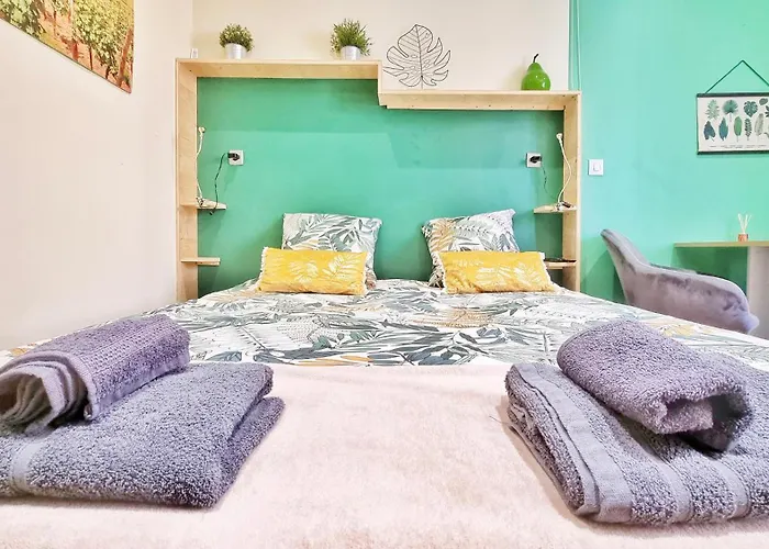 Splendide Centre Apartment Colmar