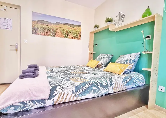 Apartment Splendide Centre Colmar