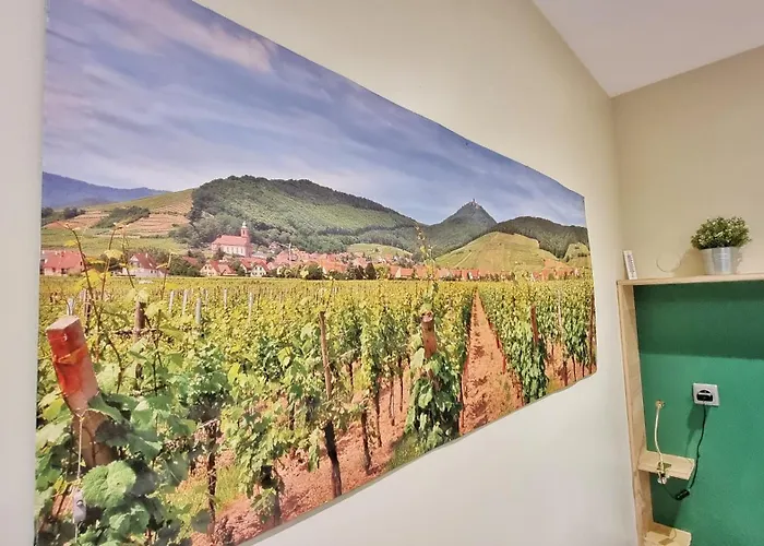 Appartamento Splendide Centre