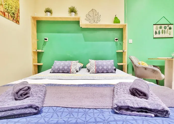 Splendide Centre Apartment Colmar