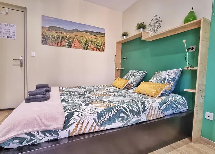 Appartamento Splendide Centre Colmar