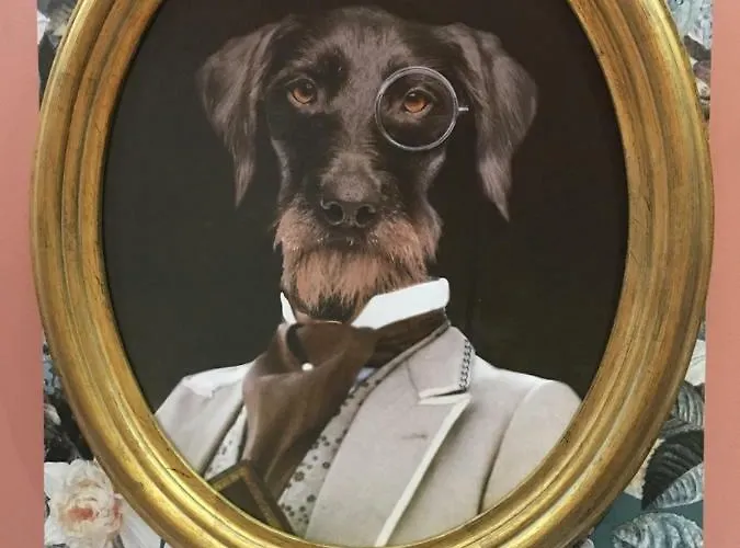 Apartment Splendide Centre Colmar